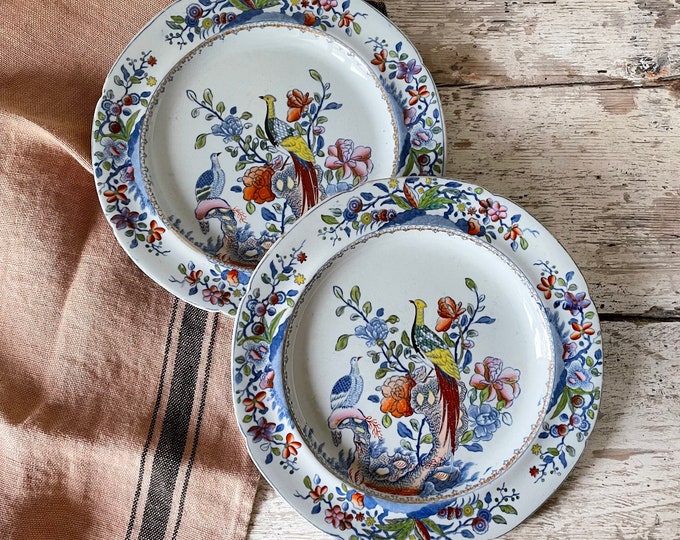 Pair of old Spode china plates, birds pattern
