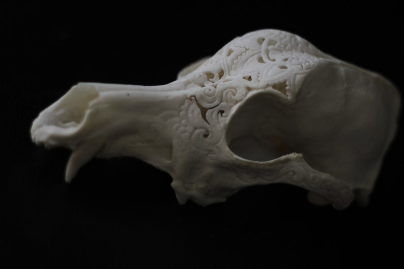 Carved skull