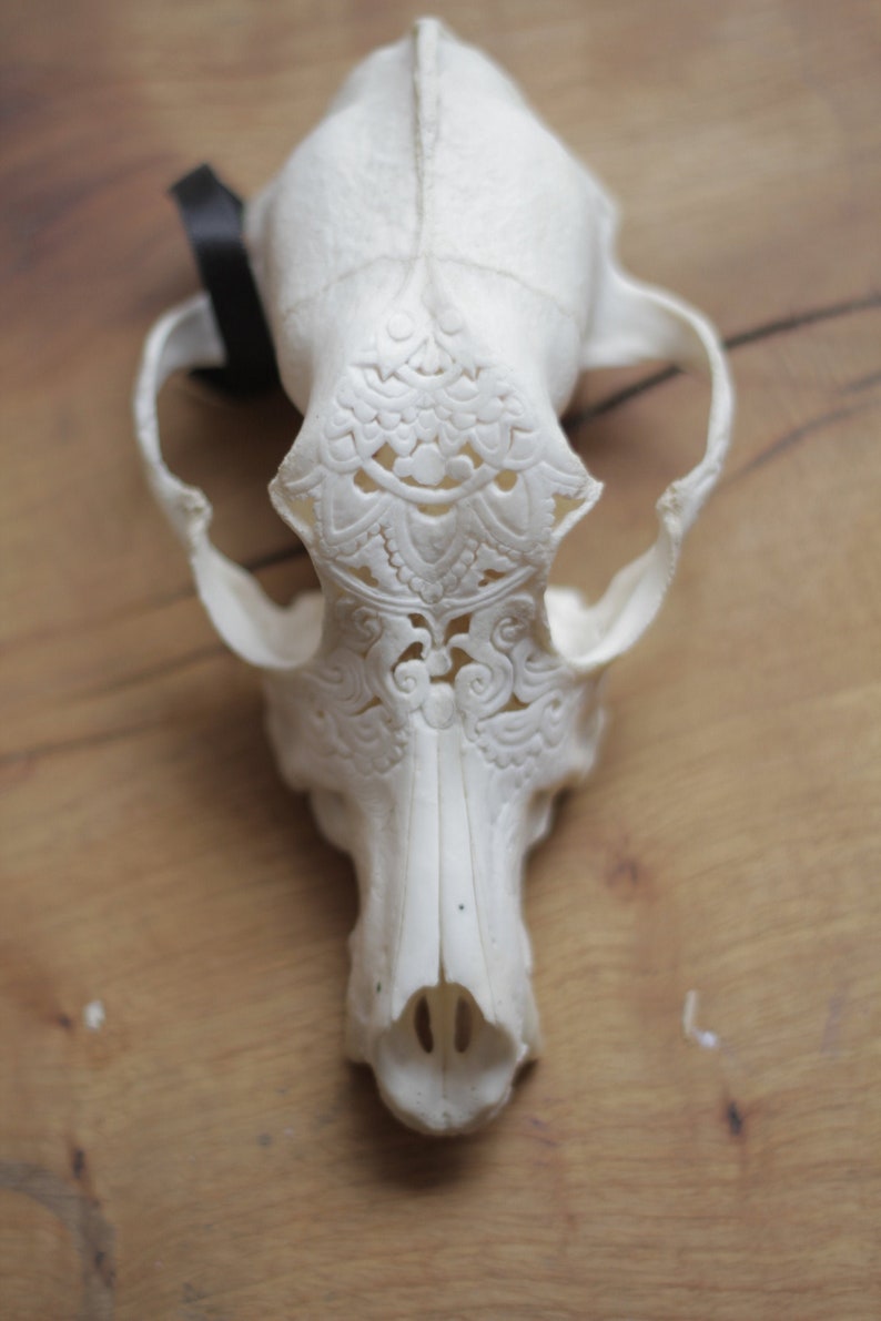 Carved skull
