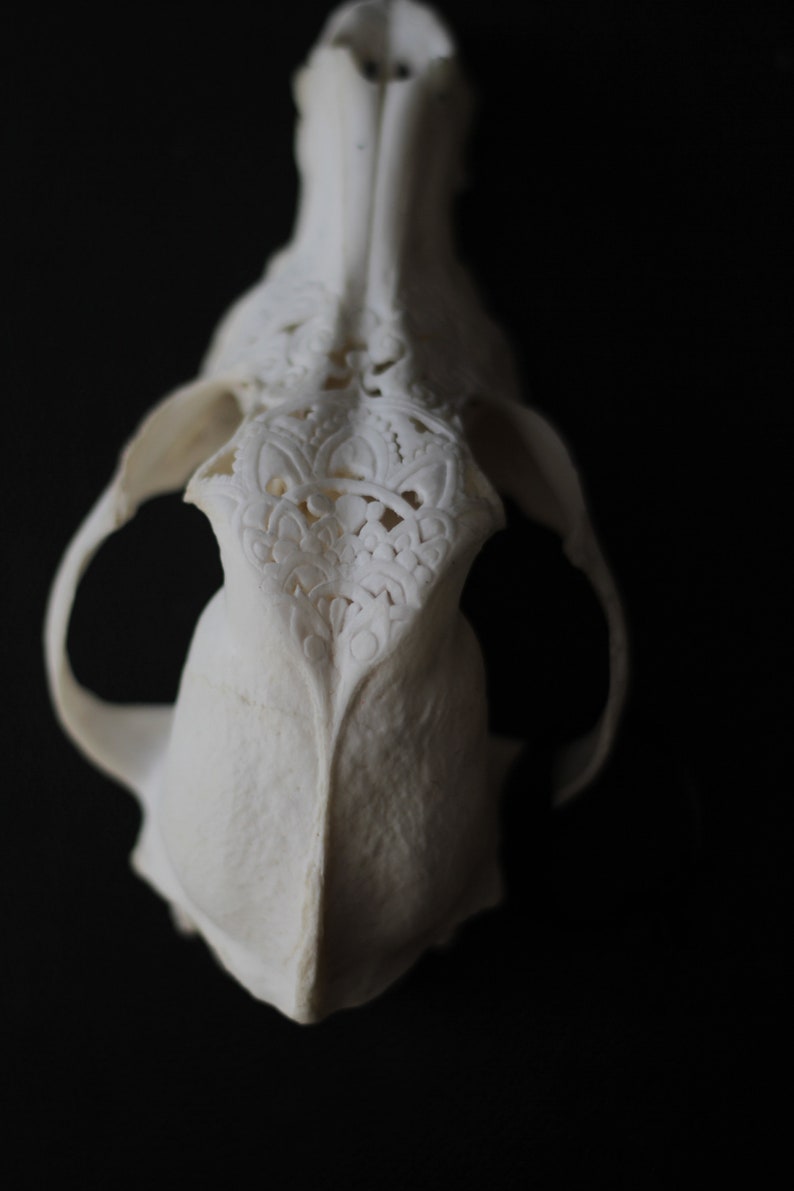 Carved skull