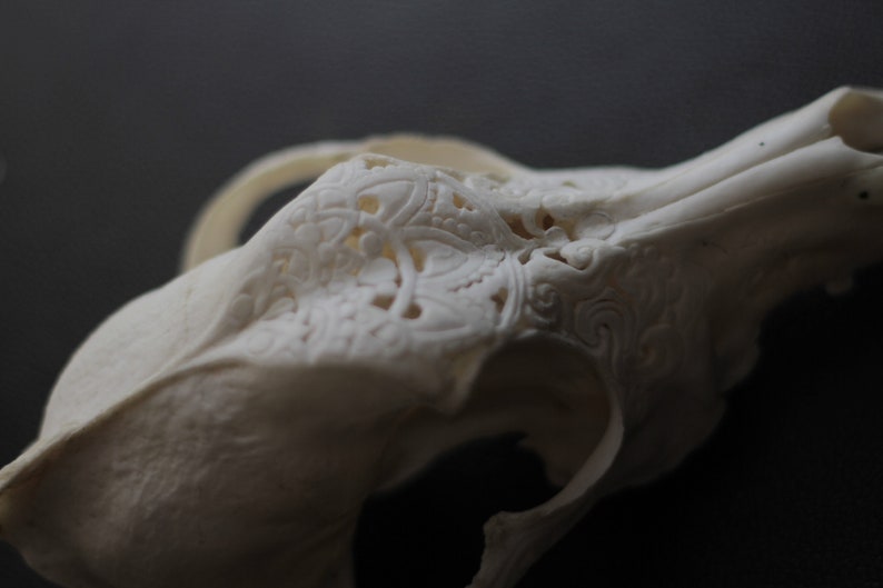 Carved skull