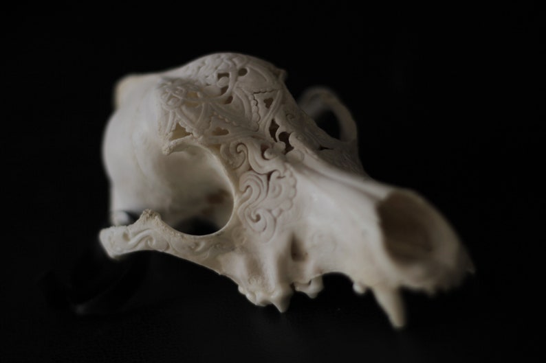 Carved skull