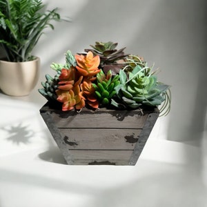 Mixed Sukkulenten Arrangement, weißer Holzpflanzer, Sukkulenten Tischdekor, gemischte Sukkulenten, Hochzeit, Geschenk, Hochzeitsdekor, Sukkulenten Geschenk