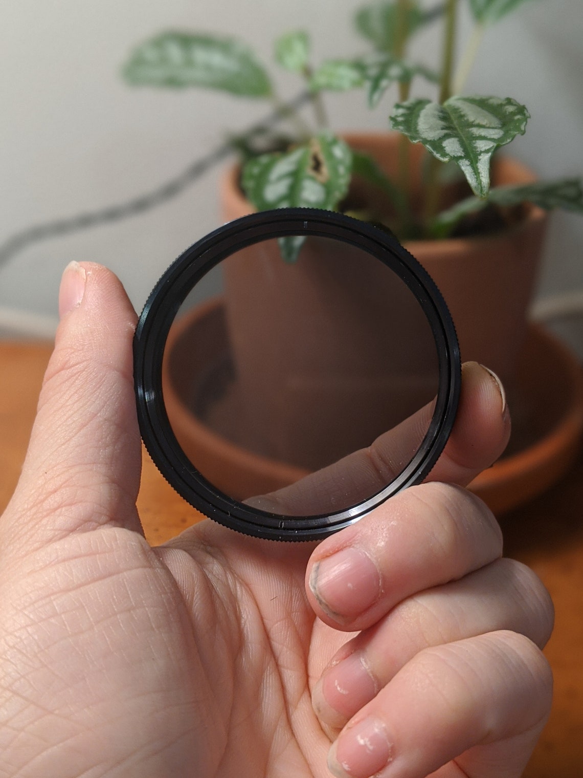 55mm Vivitar Polarizing Vintage Filter / Comes with case Etsy