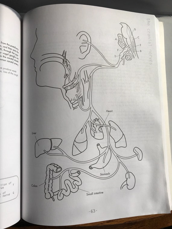 430 Princeton Review Coloring Book Picture HD