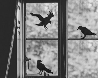 SPOOKY CROWS | Halloween Decoration | Front Door, Window or Wall Vinyl Decal Sticker | Lots of designs available