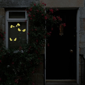 SPOOKY EYES | Halloween Decorations | Front Door, Window or Wall Vinyl Decal Sticker