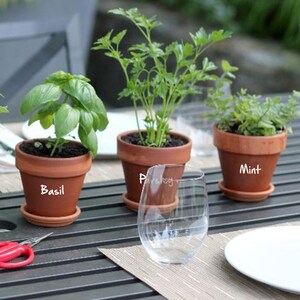 Puede incluir: Tres macetas de terracota con pequeñas plantas etiquetadas como "Albahaca", "Perejil" y "Menta". Las macetas están sobre una mesa de madera con una copa de vino de vidrio y un plato blanco.