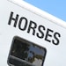 see more listings in the Horse Box Decals section