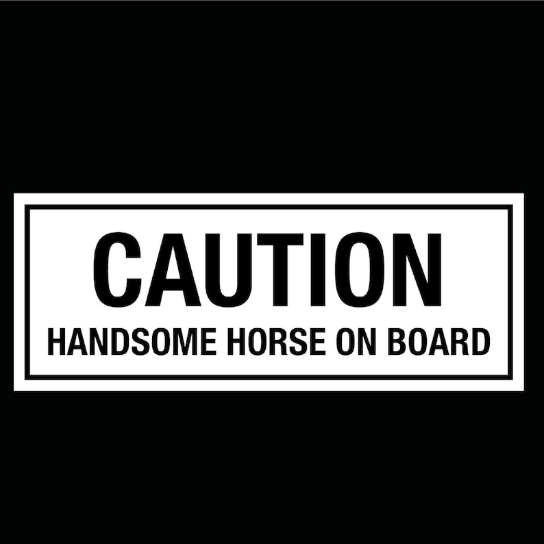 CAUTION HANDSOME HORSE On Board  Equestrian Horsebox Trailer image 1