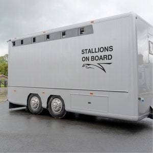 STALLIONS ON BOARD Equestrian Stud Horsebox Pony Trailer Equestrian Vinyl Decal Sticker image 1