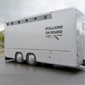 HENGSTE AN BORD | Reiter Stud Pferdebox Pony Anhänger | Vinyl Aufkleber Aufkleber | 24 Farboptionen verfügbar