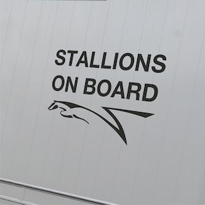 STALLIONS ON BOARD Equestrian Stud Horsebox Pony Trailer Equestrian Vinyl Decal Sticker image 2