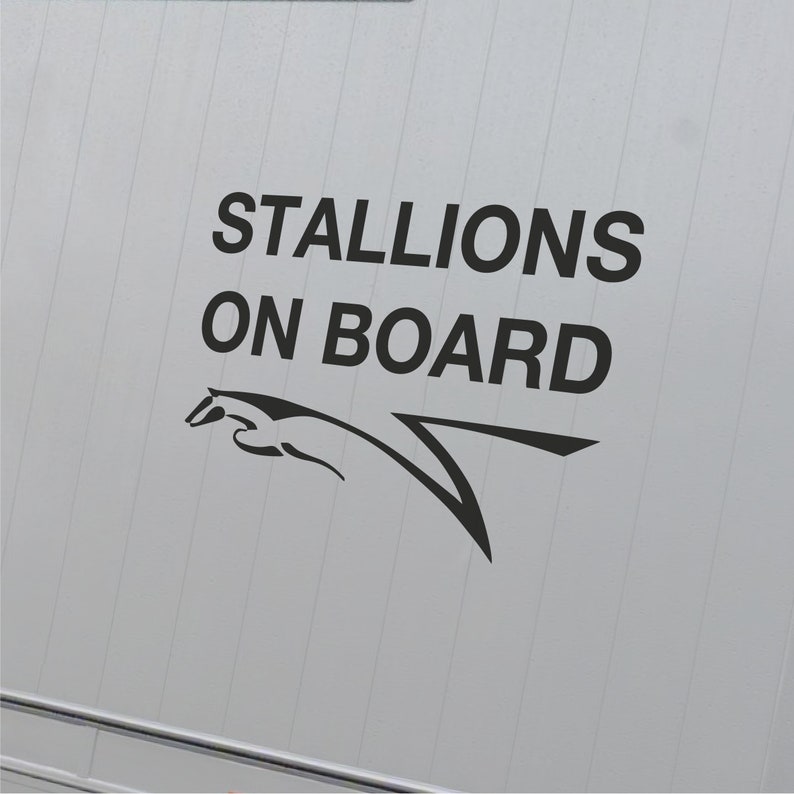 STALLIONS ON BOARD Equestrian Stud Horsebox Pony Trailer Equestrian Vinyl Decal Sticker image 2