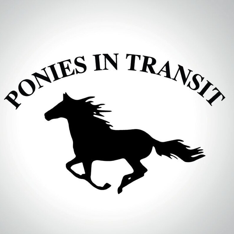 PONIES IN TRANSIT  Equestrian Horsebox Trailer Vinyl Decal image 1