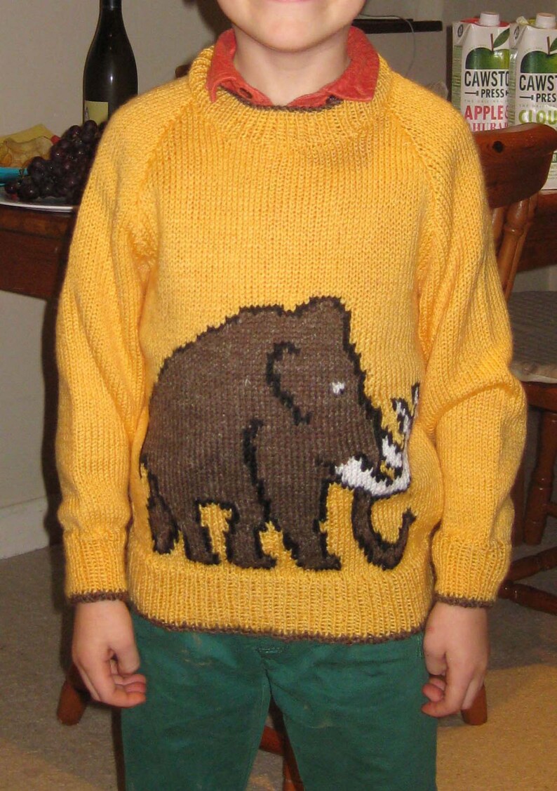 May include: A yellow knitted sweater featuring a brown woolly mammoth design. The sweater has a round neck and long sleeves with brown trim. The child is also wearing a red collared shirt and green pants.
