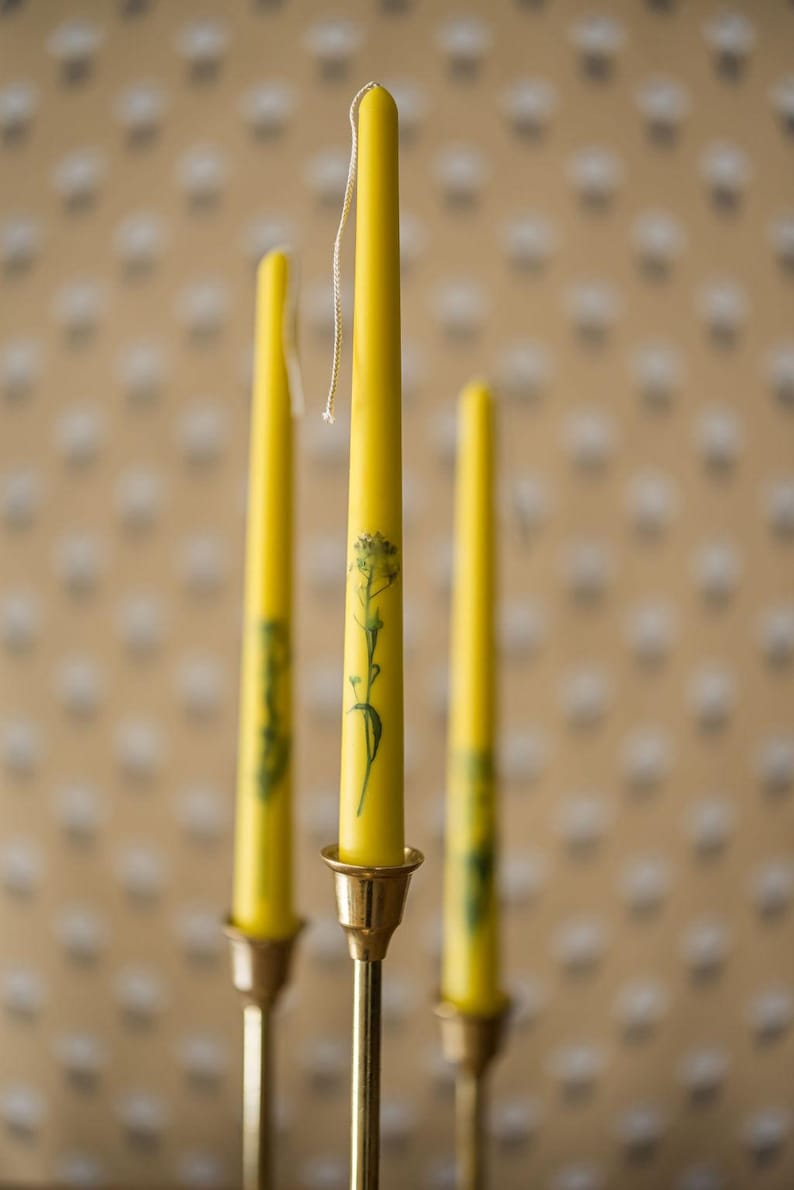 TheGalleyAndFenShop Tapered Candles - Thumbnail 5