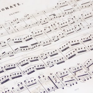 Muzieknoten Papieren Vellen Notities Papieren Notitie Muziek Klassiekers Pakket Voor Het Maken Van Muziekbladen Benodigdheden Boeken Muziekliefhebbers Pianomuziek Ephemera
