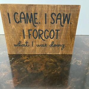 I Came I Saw I Forgot What I Was Doing – Embrace the Humorous Forgetfulness!, Wall Art, Wall Hanging, Home Decor, Senior Decor, Funny Decor