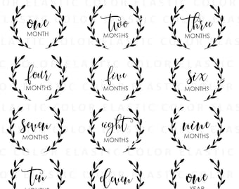 Baby monthly milestone png, baby milestone sublimation and svg, baby milestone in laurel leaf digital download png, svg, dxf, eps