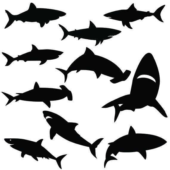 Download Shark svg silhouette pack shark clipart digital download ...