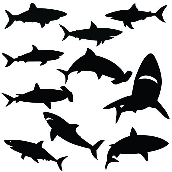 Free Free 103 Cricut Silhouette Baby Shark Svg Black And White SVG PNG EPS DXF File