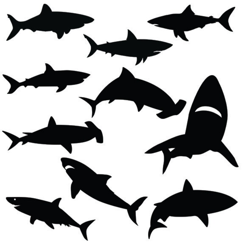 Download Free Shark Svg SVG, PNG, EPS, DXF File
