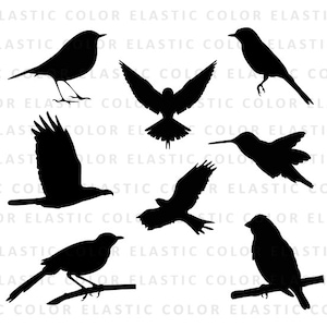 Pack silueta de pájaro svg - vectores de imágenes prediseñadas de aves digital descargar eps, dxf, svg, png