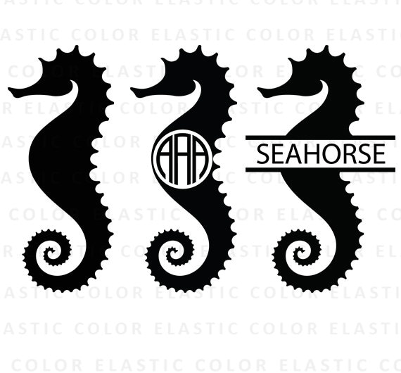 Download Seahorse svg sea horse clipart seahorse monogram vector | Etsy