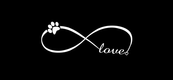 Car Window Decal Infinity With Heart Vinyl Decal - White 4.5x2 Inch Made In USA Sticker Car Window Sticker - Foto 9