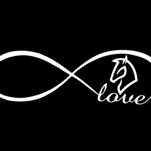 Infinity love horse sticker vinyl decal, car window, doors bumper laptop
