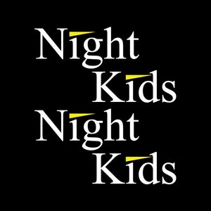 Night kids Initial D sticker vinyl decal car window doors two colors set of 2