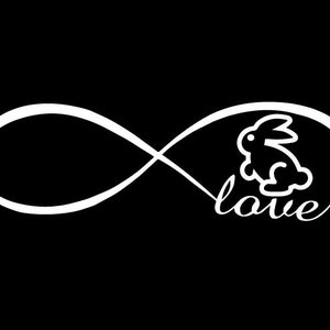 Infinity love rabbit pet vinyl decal, car window, doors bumper laptop