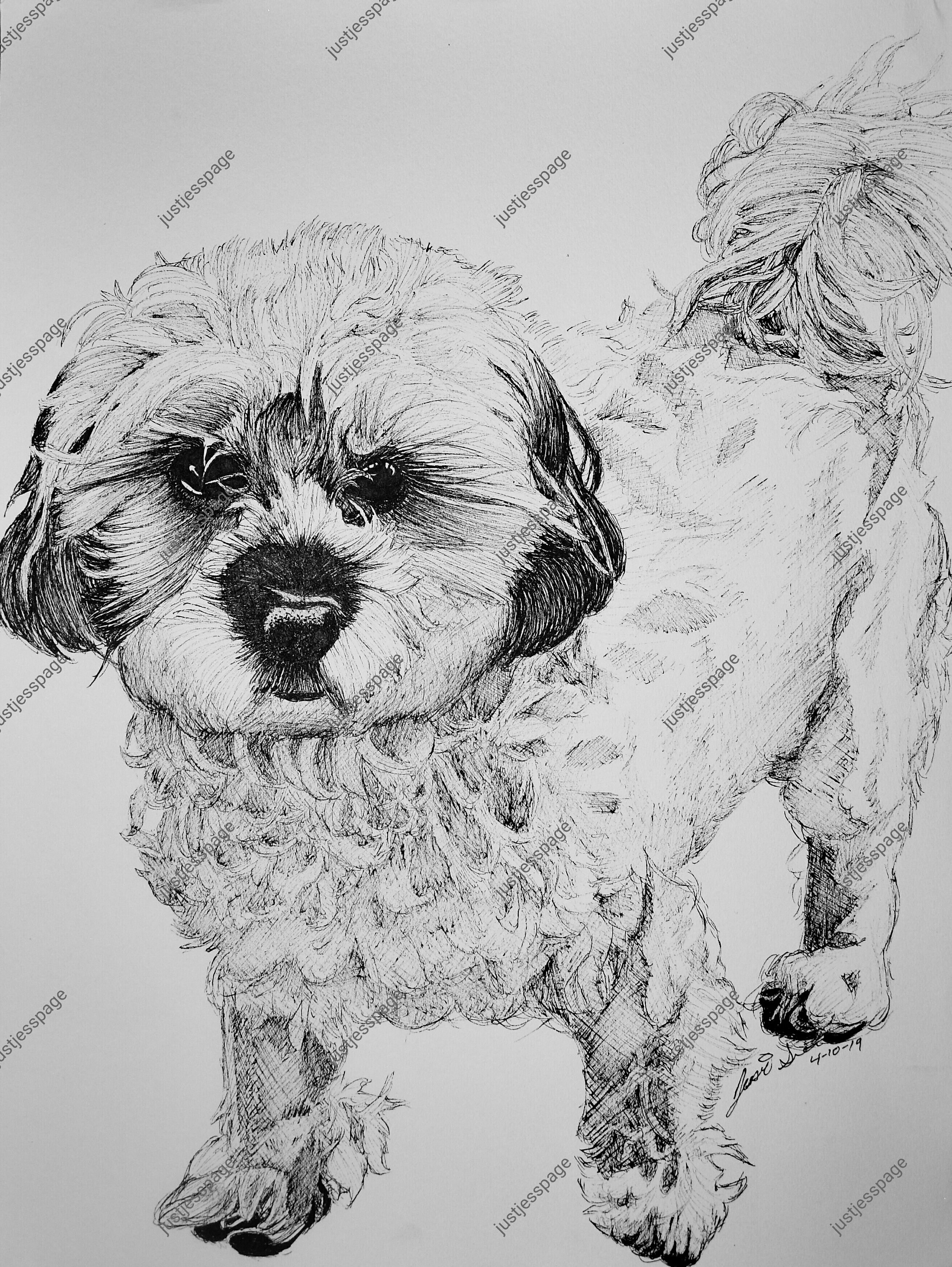 Realistic Dogs Chihuahua Poodle Mix Etsy