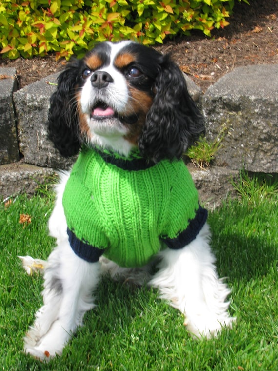 Seahawks shop dog hoodie