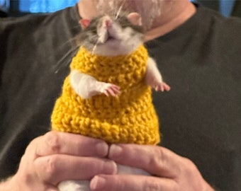 rat in a dress