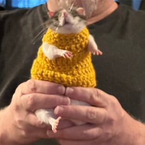 Rat Sweater - Cozy Sweater - Pet Sweater - Red Heart - Yarn - New Colors - Updated