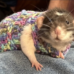 Cutie Rat Sweater Pattern