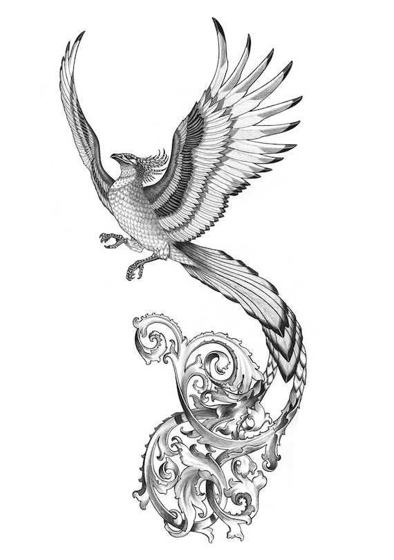 Phoenix Original Drawing Etsy Phoenix Original Drawing Etsy