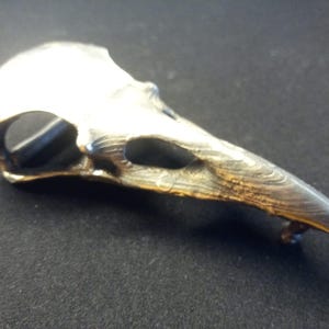 Bronze Raven Skull Belt Buckle /Huginn/ Muninn /Reafan