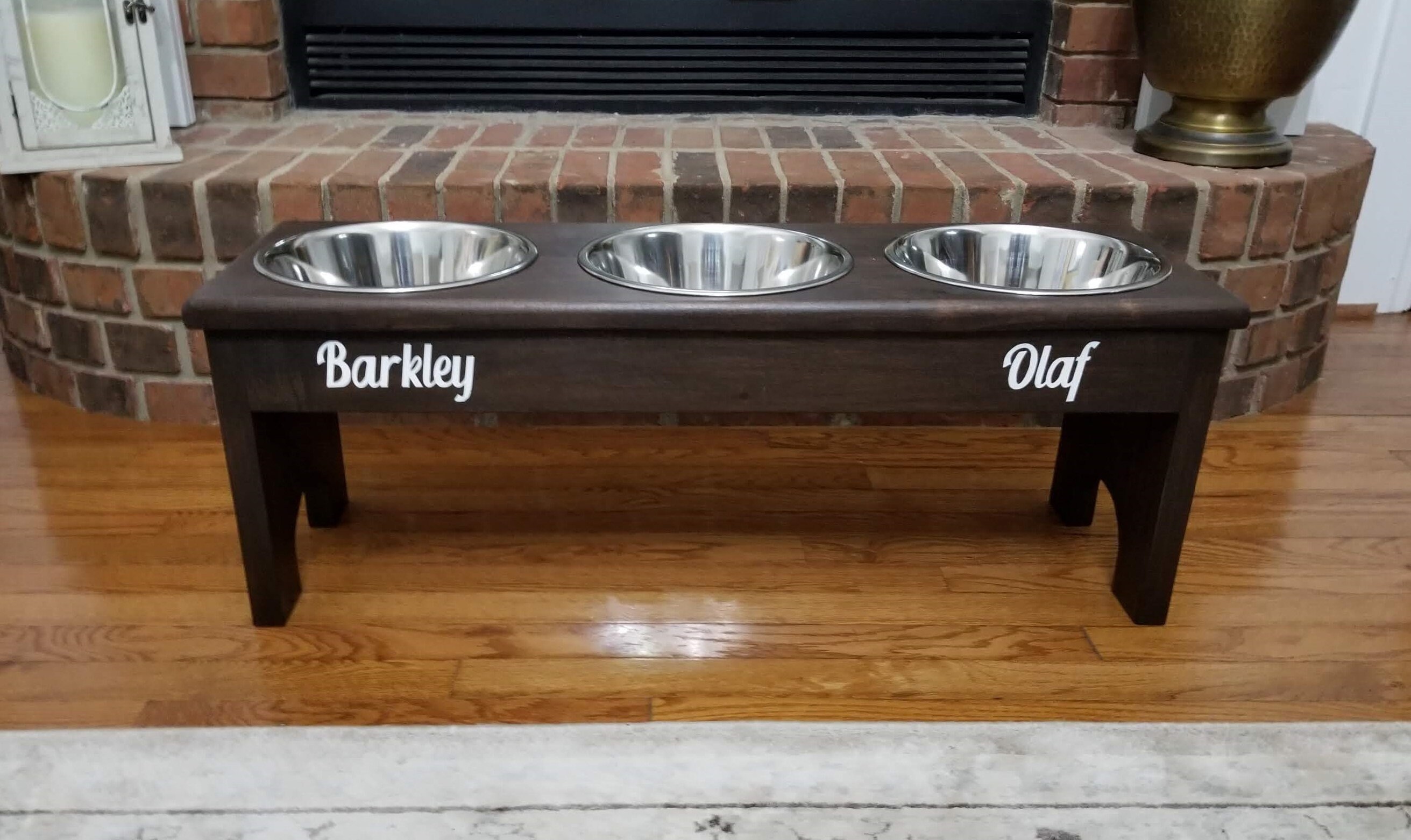 raised pet feeder