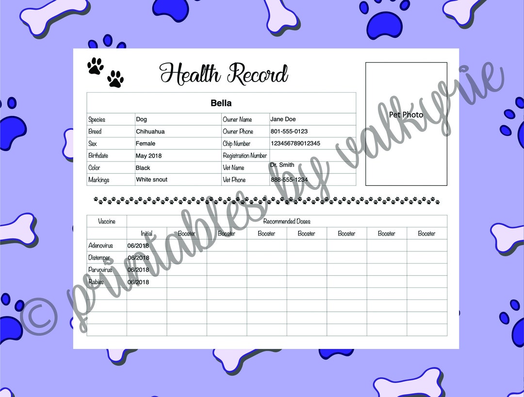 Printable Pet Health Record - Etsy