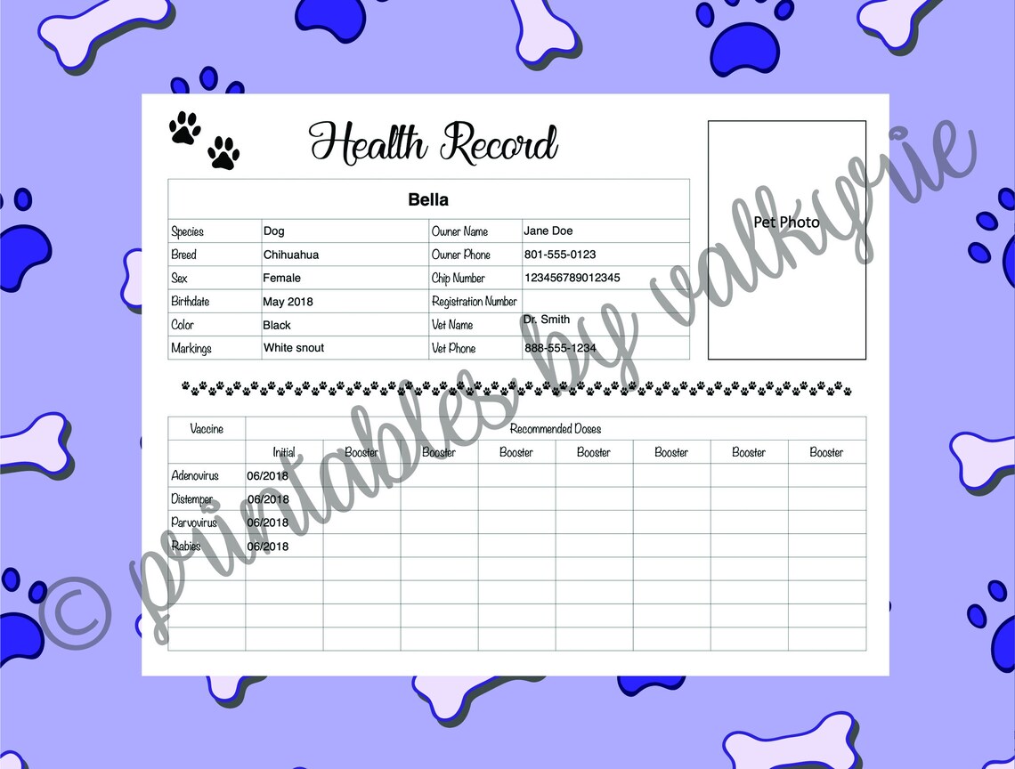 Printable Pet Health Record - Etsy
