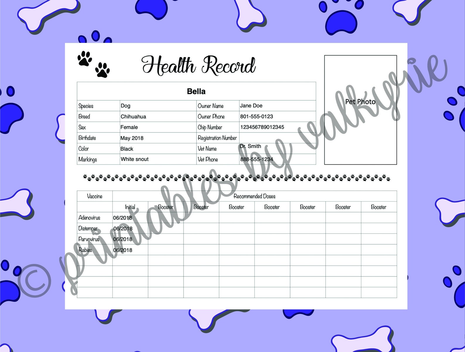 Printable Pet Health Record - Etsy