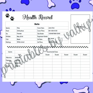 Printable Pet Health Record - Etsy