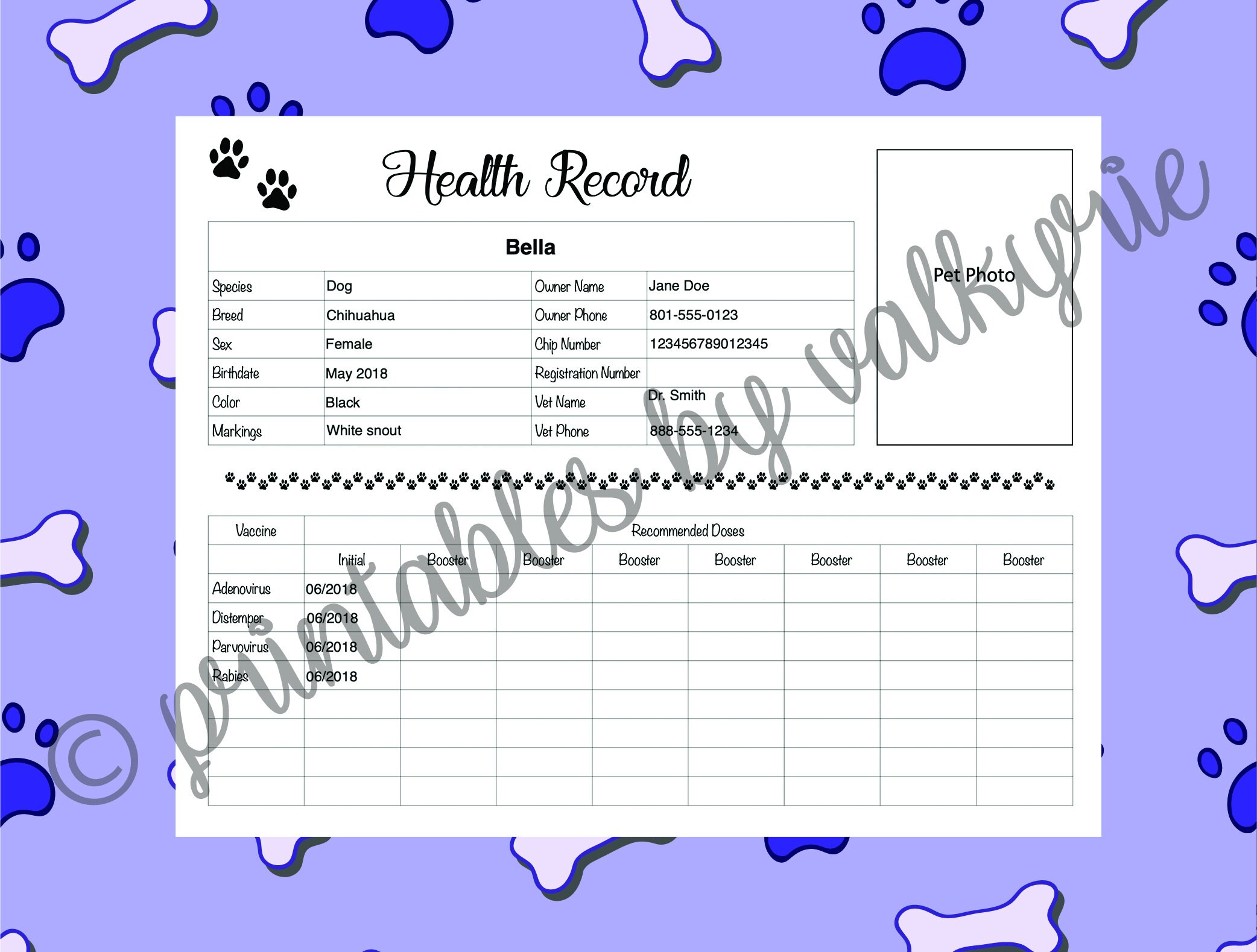 Printable Pet Health Record - Etsy