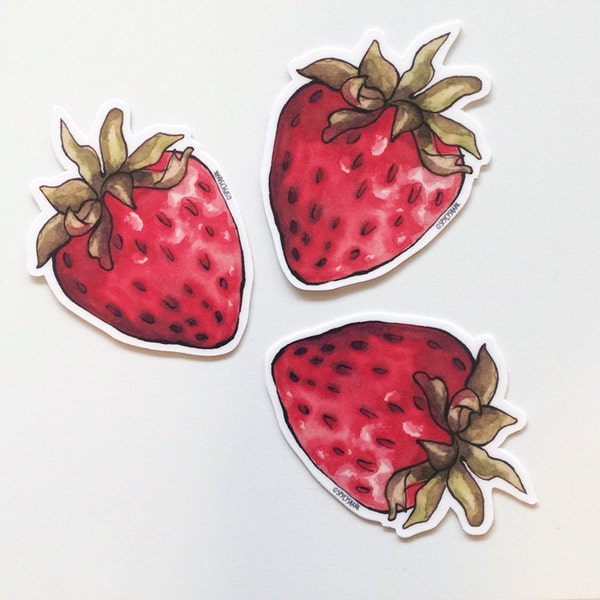 Strawberry Sticker Pack - 3 Small Stickers