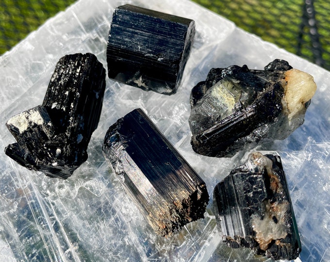 Black Tourmaline Crystal Mineral Display Specimens Set of 5