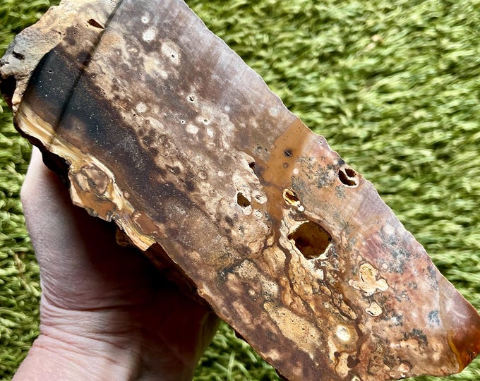 3.65 lb Biggs Picture Jasper Rough cut Lapidary Mineral Specimen