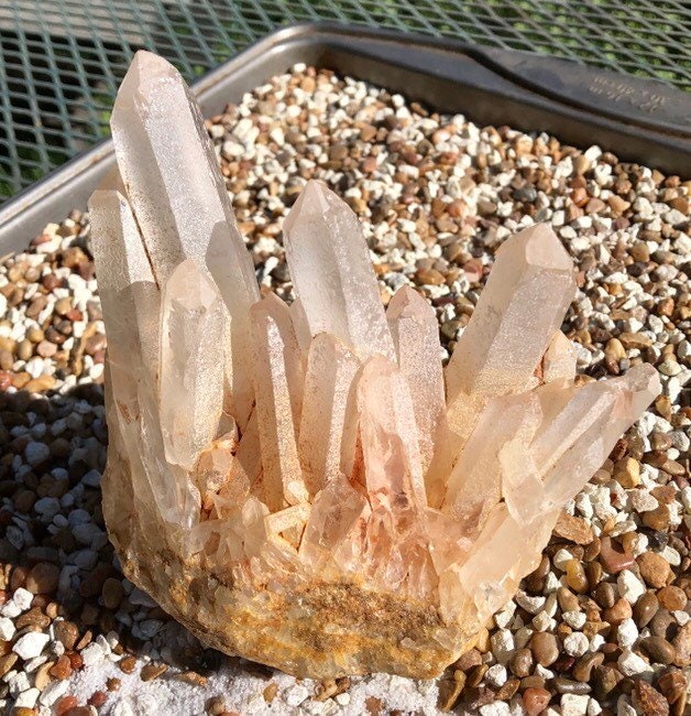 Large upright peach colored Quartz Crystal Cluster Mineral Specimen